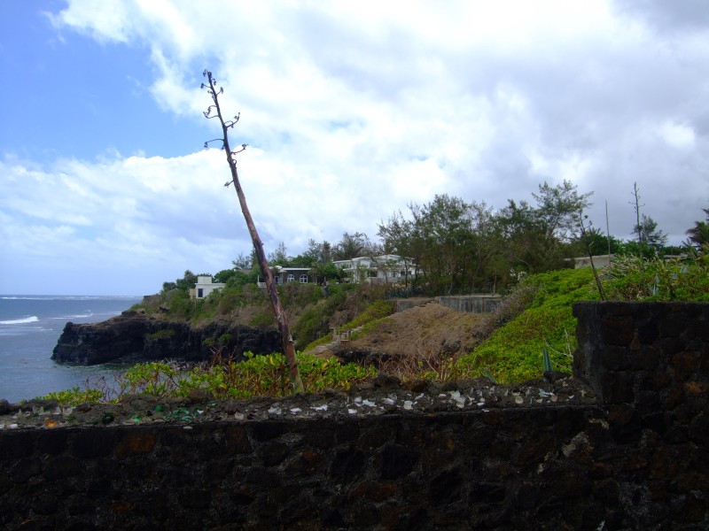 Mauritius 2010 - 0307 